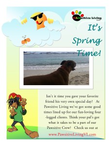 Doggy Field Trip Saint Thomas Pet Sitting Virgin Islands